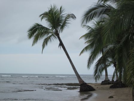 CR beach 4