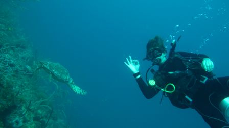underwater