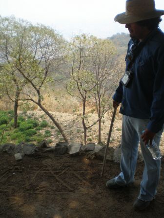 monte alban 4