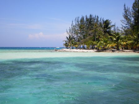 utila beaches 3