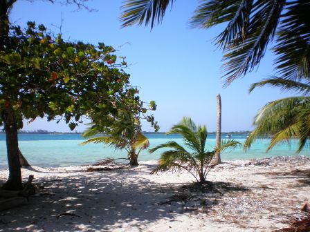 utila beaches 4