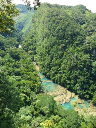 semuc_1.jpg