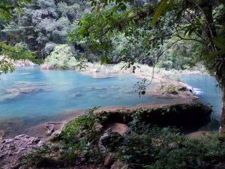 semuc_2.jpg